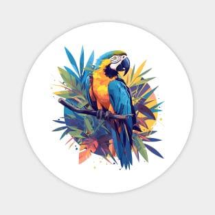 macaw Magnet